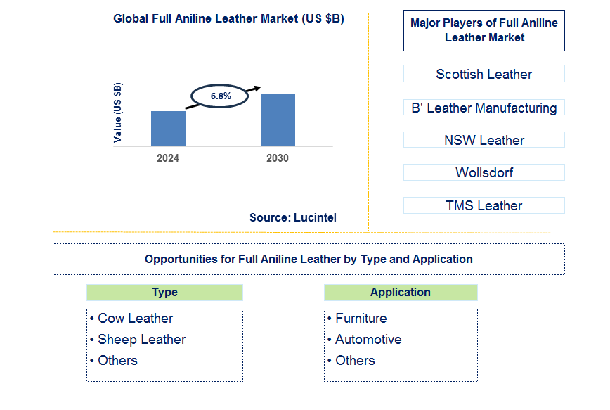 Full Aniline Leather Trends and Forecast